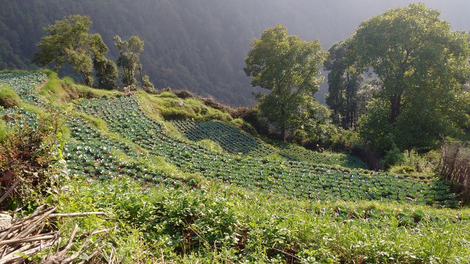 Photo of 10 Lessons I Learnt From My Himalayan Trek 3/11 by upasana kakati