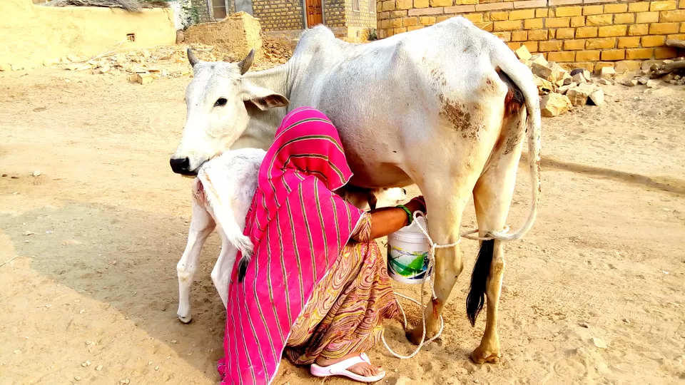 Photo of Experience Rustic Life in Khuri Desert by upasana kakati