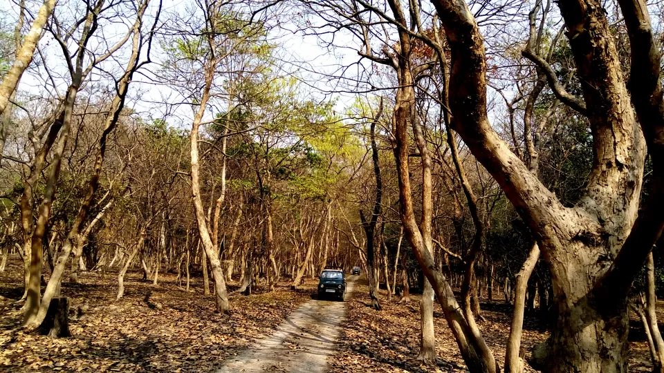 Photo of Pobitora Wildlife Sanctuary, Pabitara, Assam, India by upasana kakati