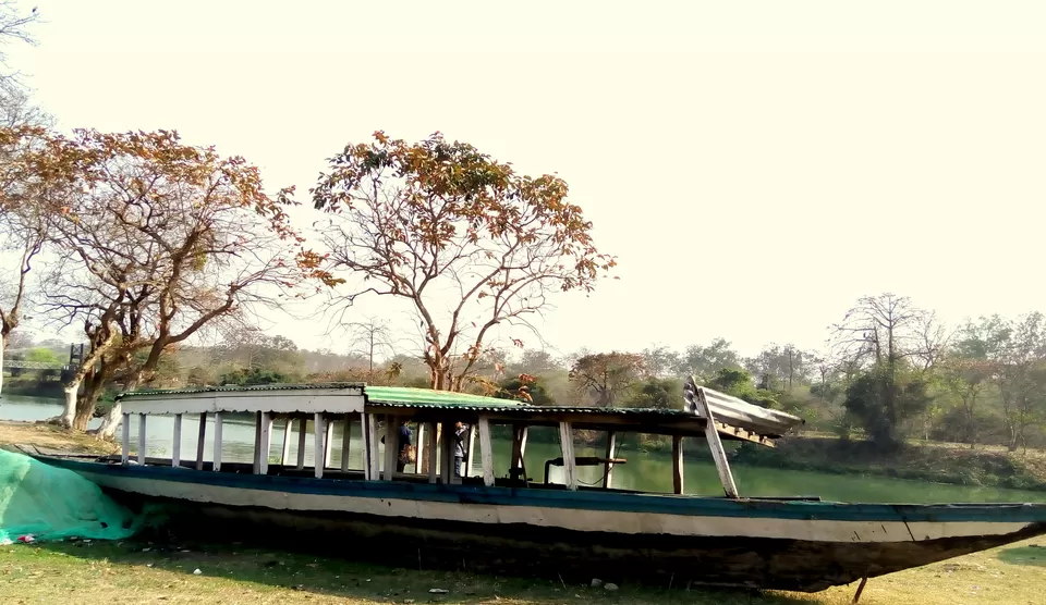 Photo of Pobitora Wildlife Sanctuary, Pabitara, Assam, India by upasana kakati