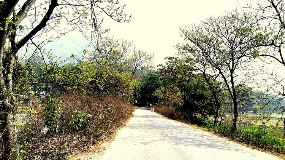 Photo of Crushing On Nature in Pabitora Wildlife Sanctuary, Assam by upasana kakati