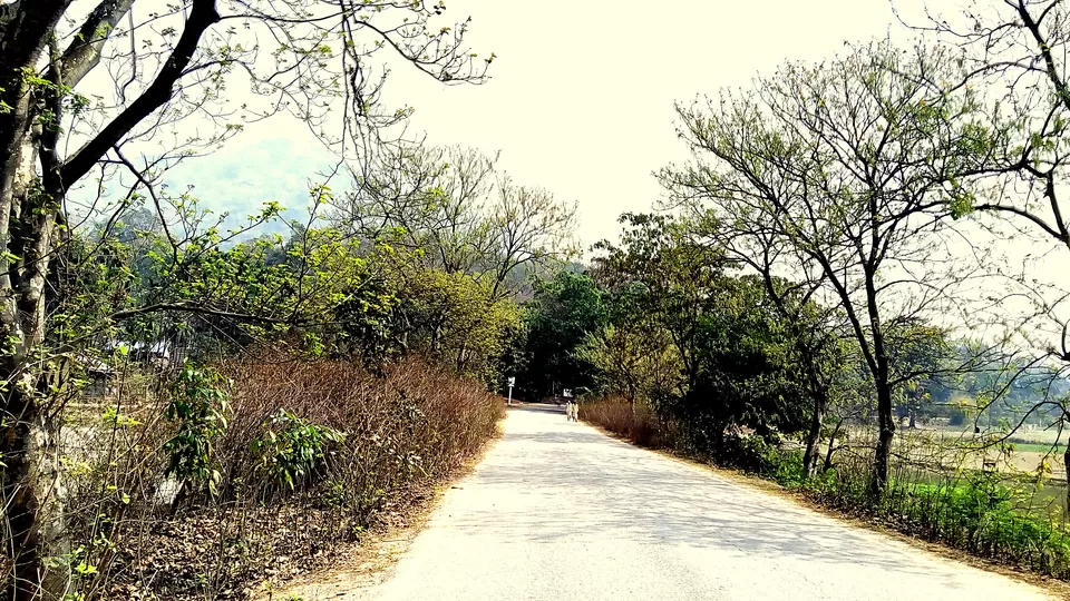 Photo of Crushing On Nature in Pabitora Wildlife Sanctuary, Assam by upasana kakati