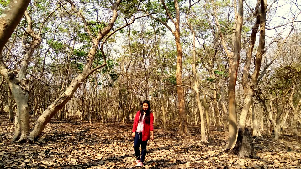 Photo of Crushing On Nature in Pabitora Wildlife Sanctuary, Assam by upasana kakati