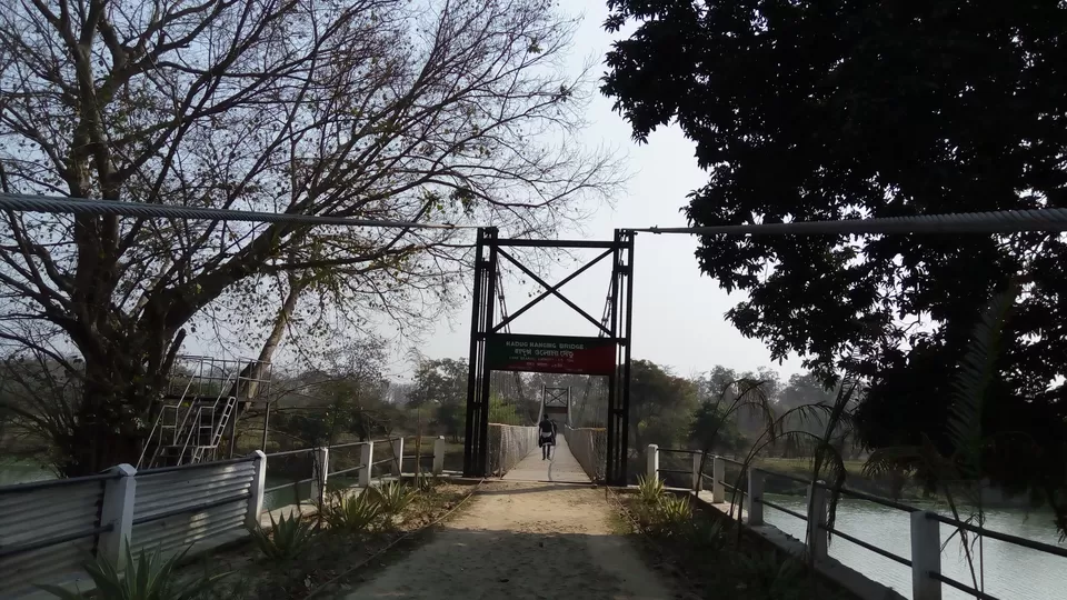Photo of Crushing On Nature in Pabitora Wildlife Sanctuary, Assam by upasana kakati