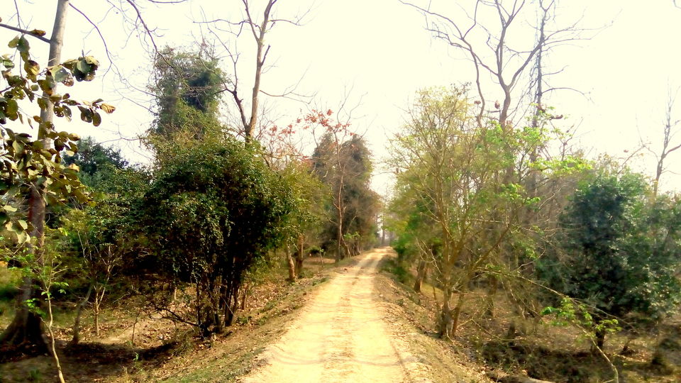 Photo of Crushing On Nature in Pabitora Wildlife Sanctuary, Assam by upasana kakati