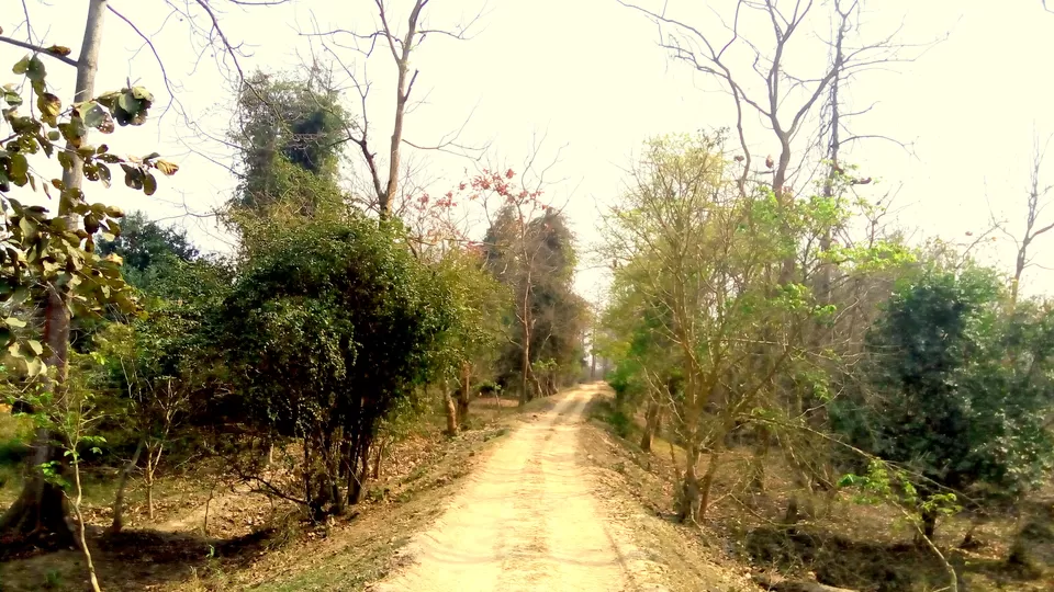 Photo of Crushing On Nature in Pabitora Wildlife Sanctuary, Assam by upasana kakati