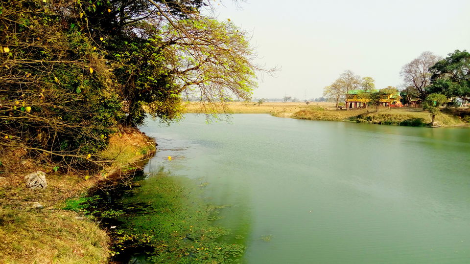 Photo of Crushing On Nature in Pabitora Wildlife Sanctuary, Assam by upasana kakati