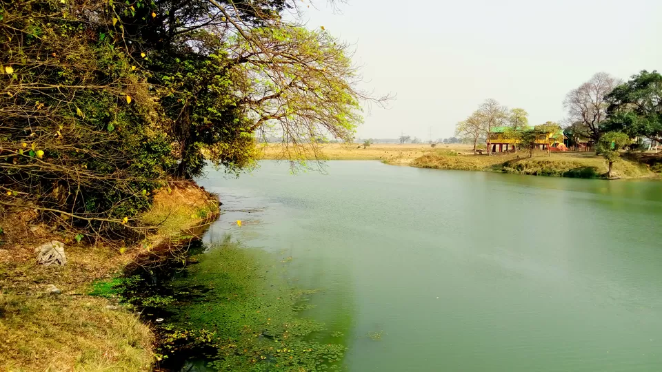 Photo of Crushing On Nature in Pabitora Wildlife Sanctuary, Assam by upasana kakati