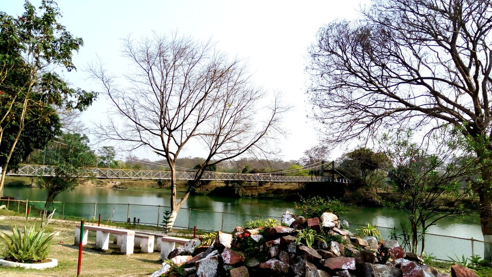 Photo of Crushing On Nature in Pabitora Wildlife Sanctuary, Assam by upasana kakati