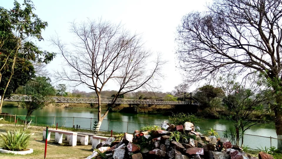 Photo of Crushing On Nature in Pabitora Wildlife Sanctuary, Assam by upasana kakati