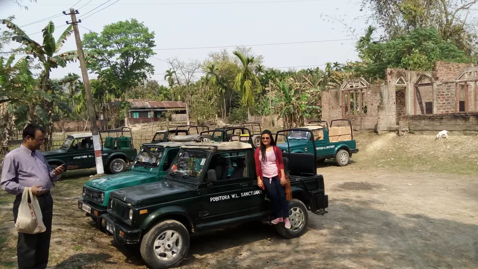 Photo of Crushing On Nature in Pabitora Wildlife Sanctuary, Assam by upasana kakati