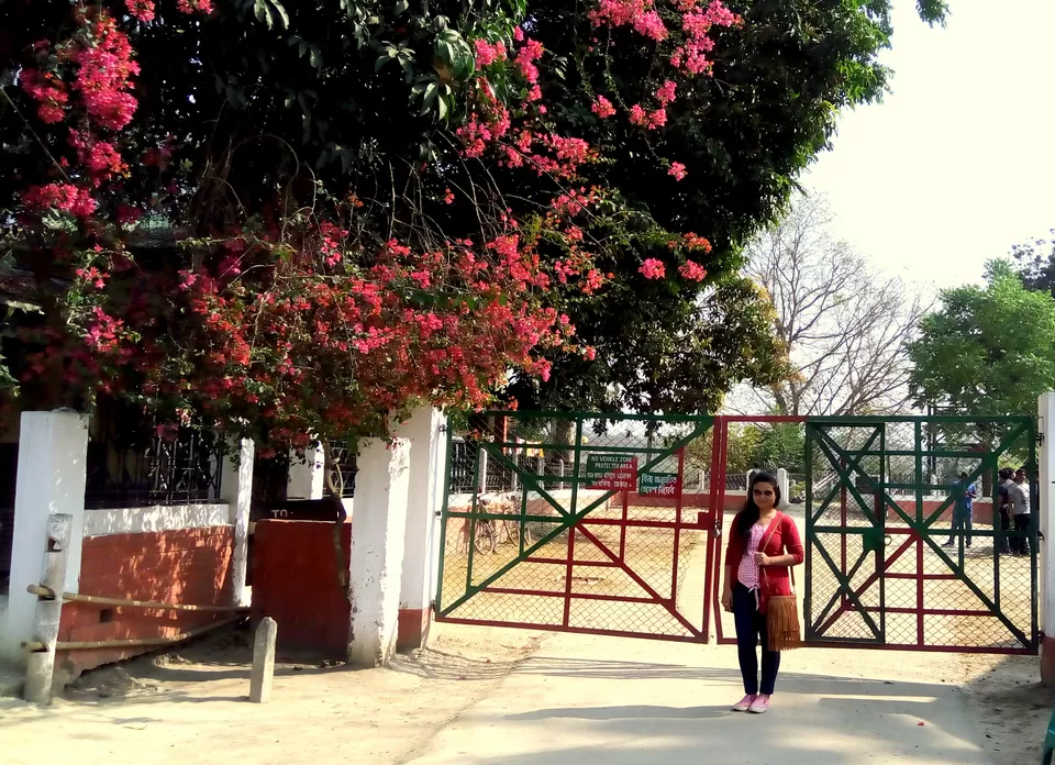Photo of Crushing On Nature in Pabitora Wildlife Sanctuary, Assam by upasana kakati