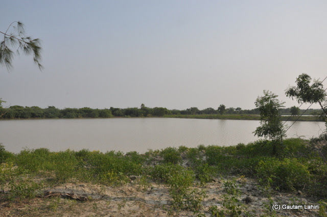 Photo of Henry Island, West Bengal, India by Gautam Lahiri