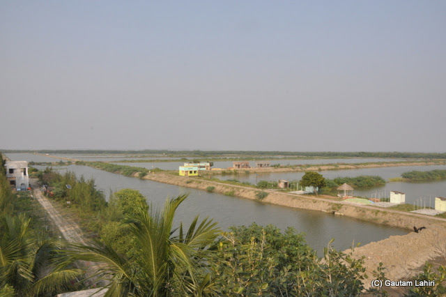Photo of Henry's Island Watchtower, Henry Island, West Bengal, India by Gautam Lahiri