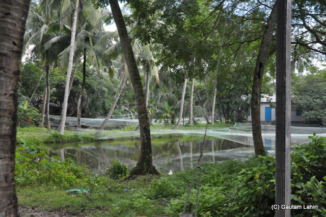 Photo of Diamond Harbor, Hooghly's last post and off to the sea by Gautam Lahiri