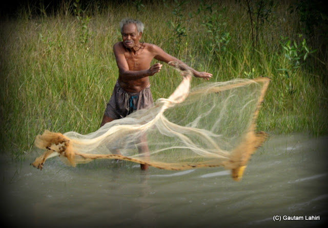 Photo of Sunderbans, nature's most creative and deadliest swamp by Gautam Lahiri