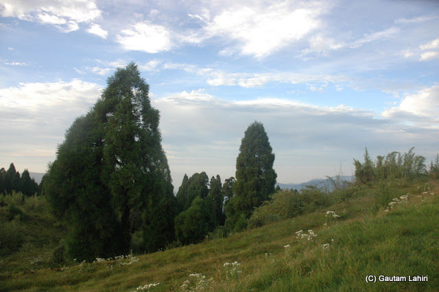 Photo of Darjeeling, the enchanting Himalayan Queen by Gautam Lahiri