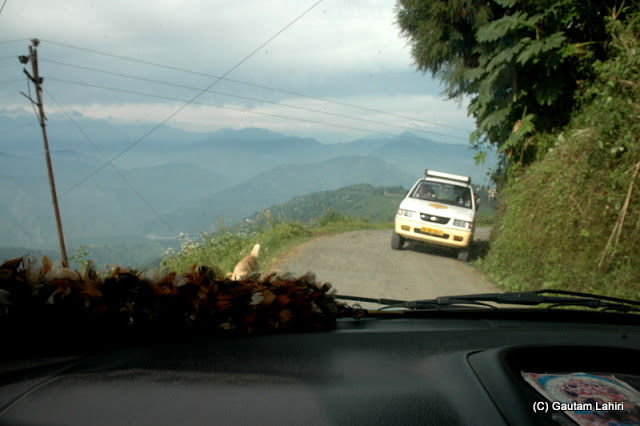 Photo of Darjeeling, the enchanting Himalayan Queen by Gautam Lahiri