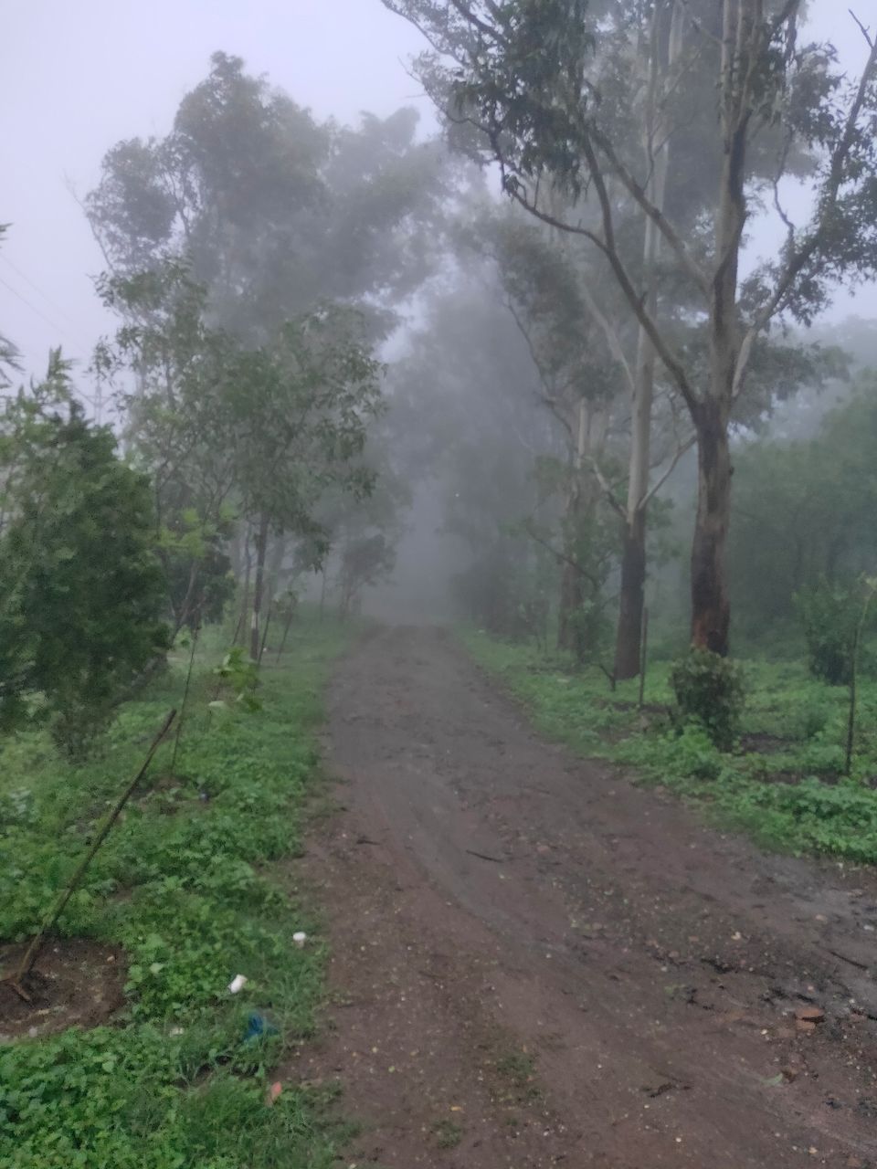 Photo of Day trip to Toranmal by rohan kale