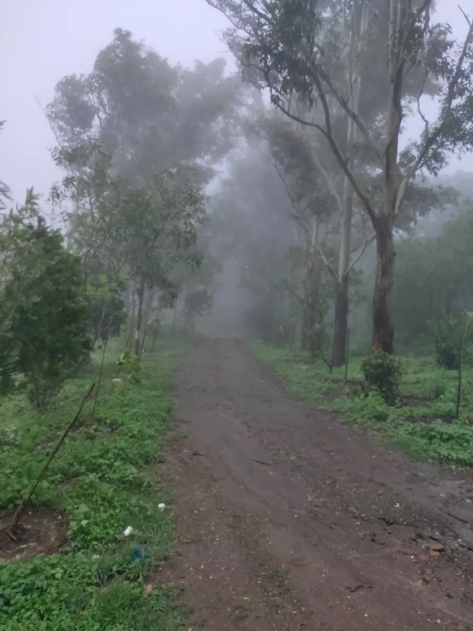 Photo of Day trip to Toranmal by rohan kale