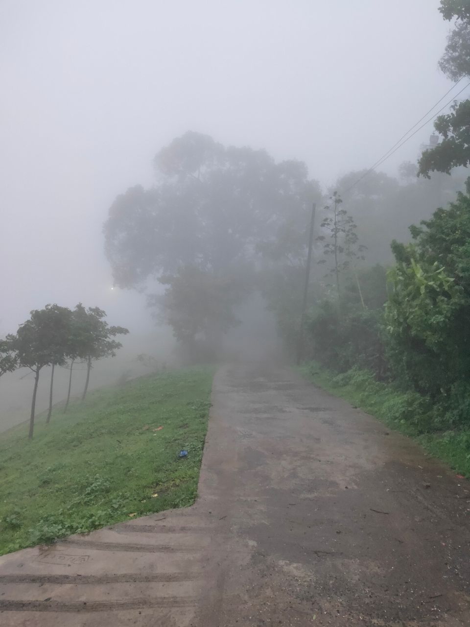 Photo of Day trip to Toranmal by rohan kale