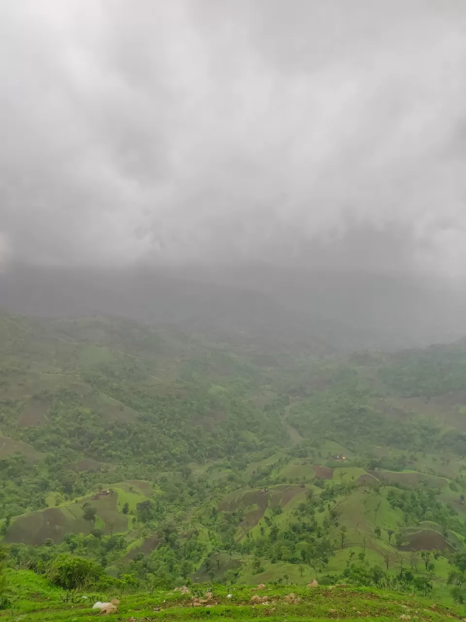 Photo of Day trip to Toranmal by rohan kale