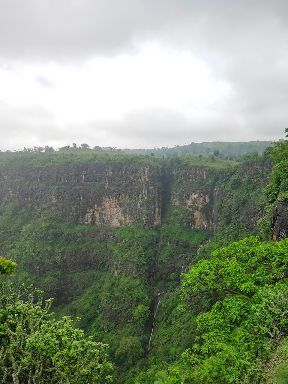 Photo of Day trip to Toranmal by rohan kale