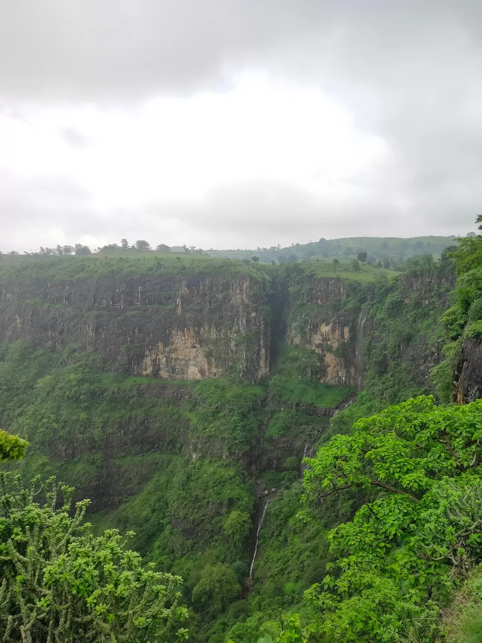 Photo of Day trip to Toranmal by rohan kale