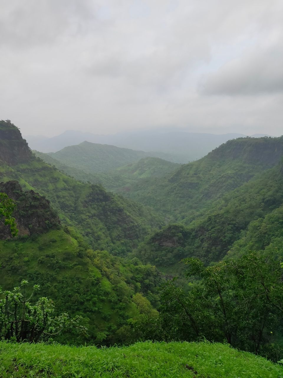 Photo of Day trip to Toranmal by rohan kale