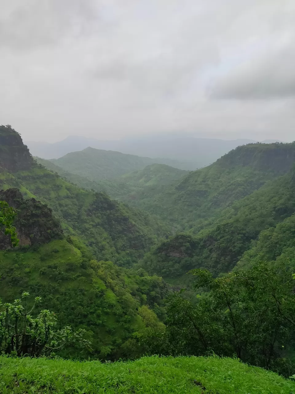 Photo of Day trip to Toranmal by rohan kale