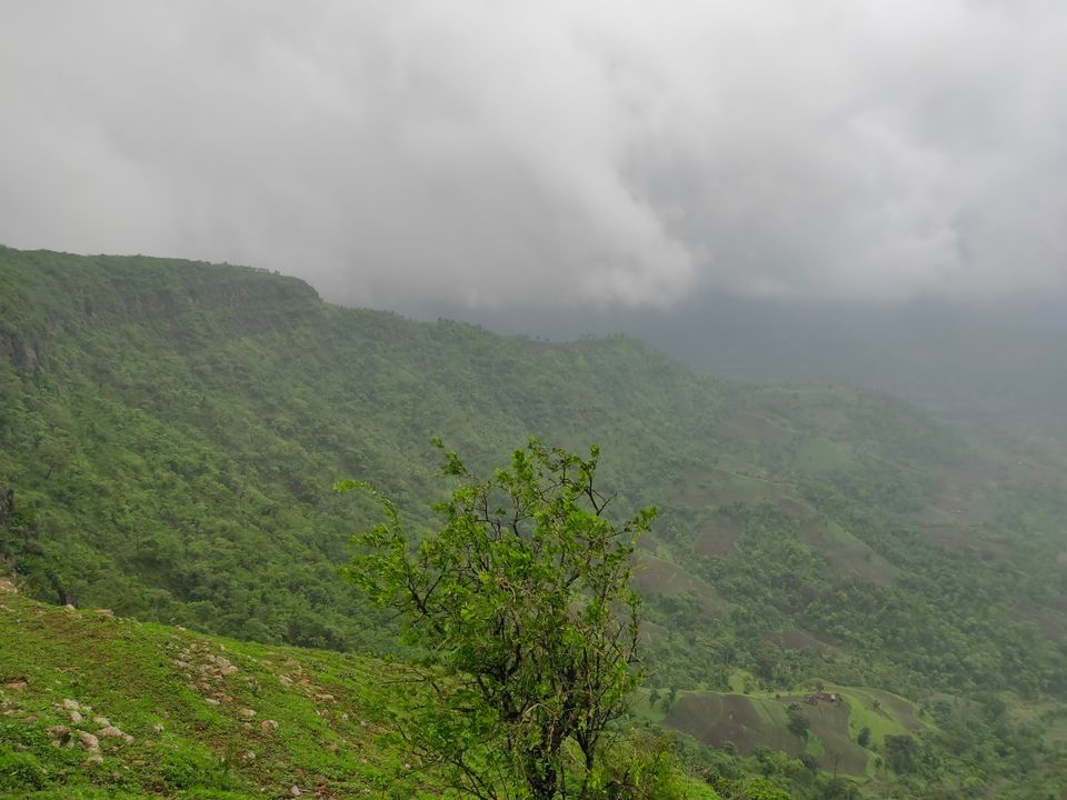 Photo of Day trip to Toranmal by rohan kale