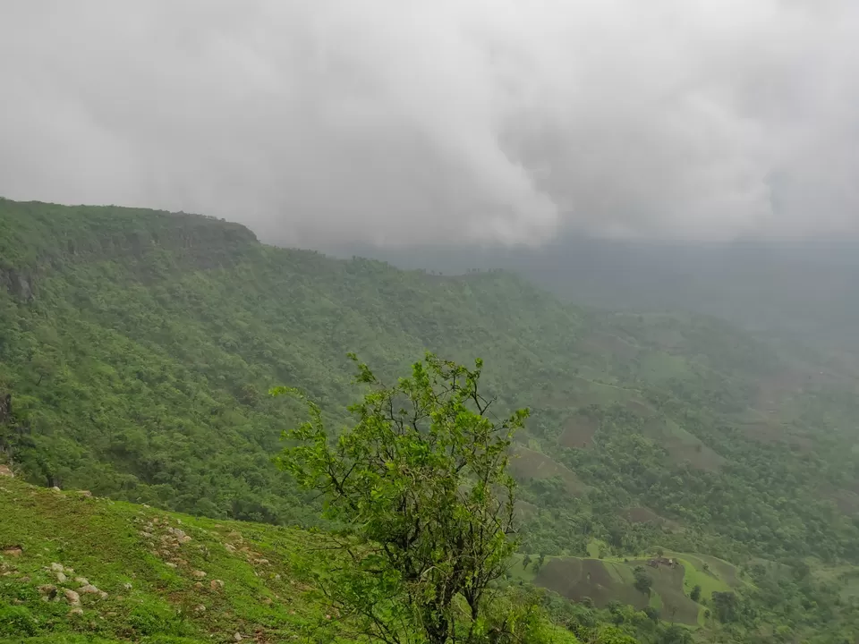 Photo of Day trip to Toranmal by rohan kale
