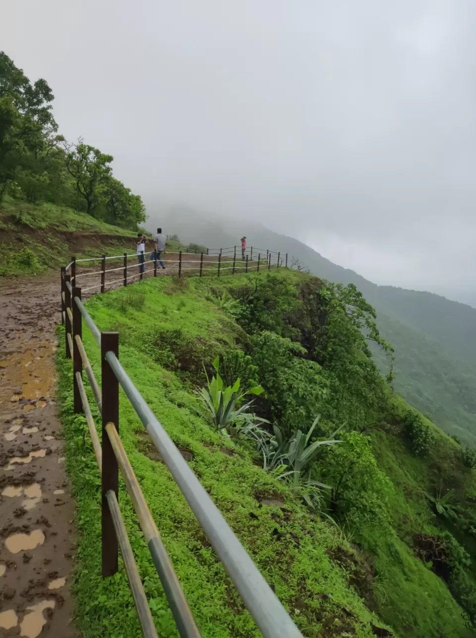 Photo of Day trip to Toranmal by rohan kale