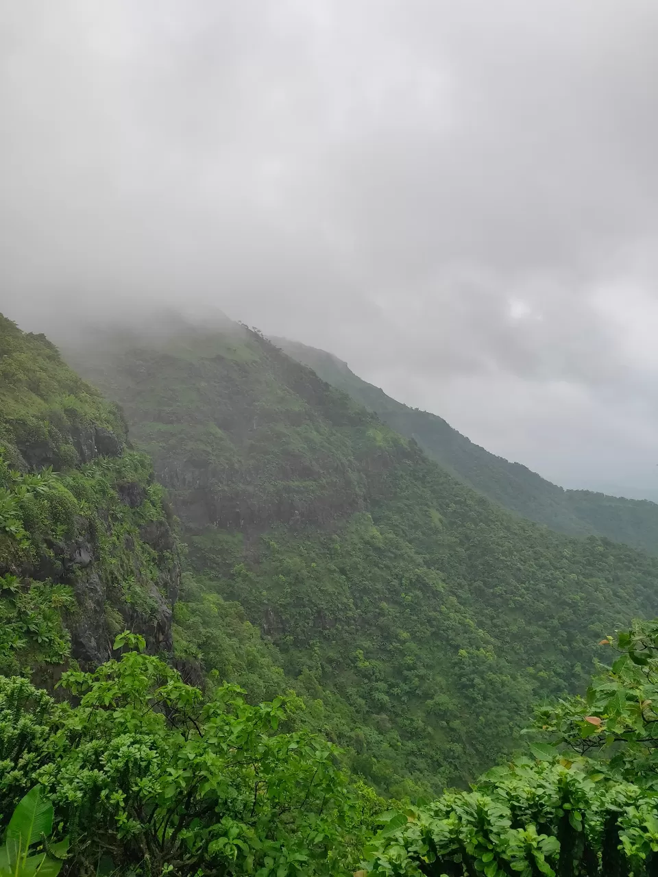 Photo of Day trip to Toranmal by rohan kale