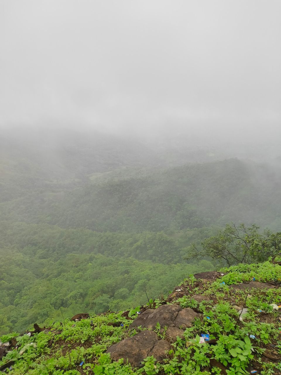Photo of Day trip to Toranmal by rohan kale