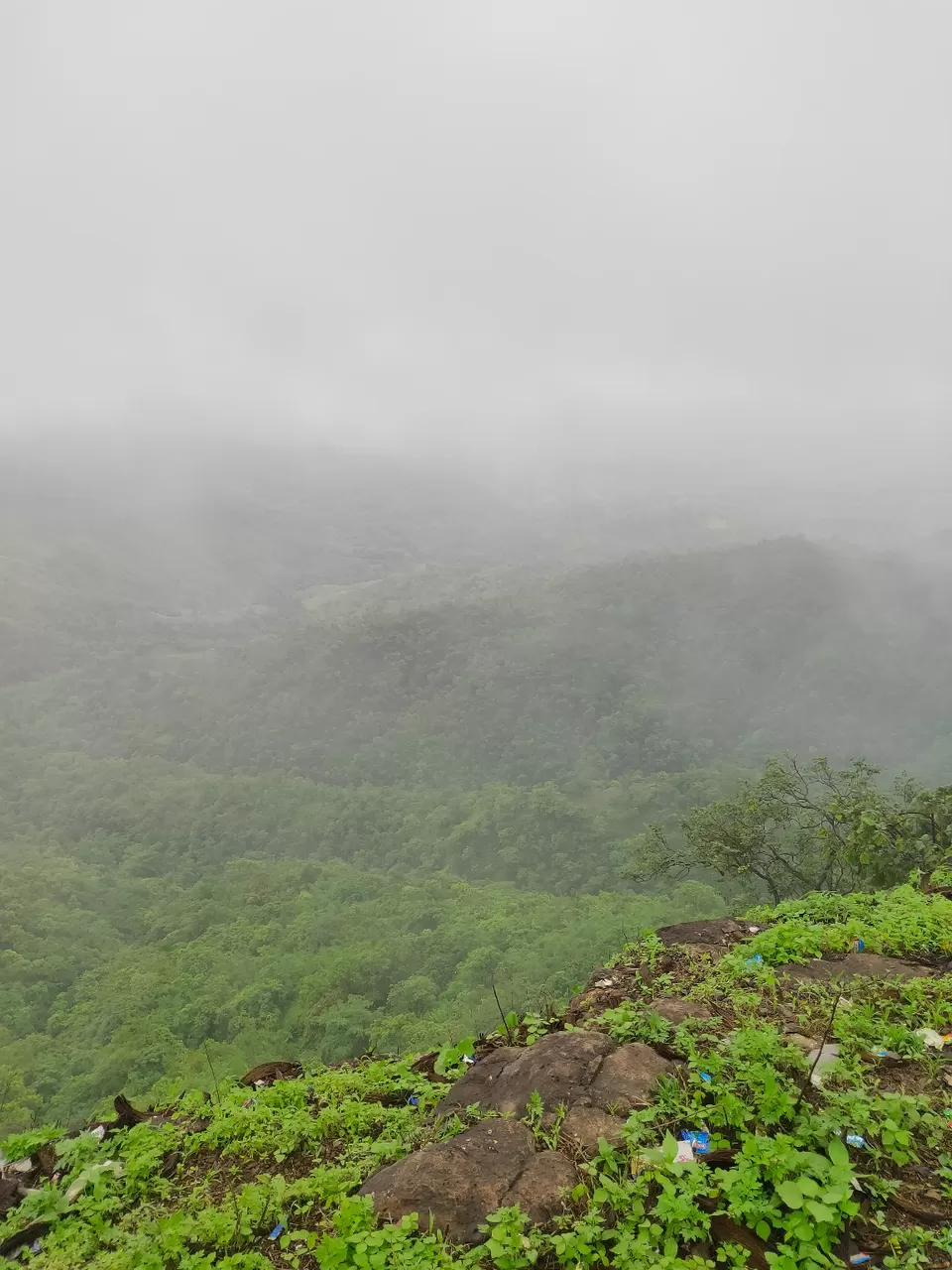 Photo of Day trip to Toranmal by rohan kale