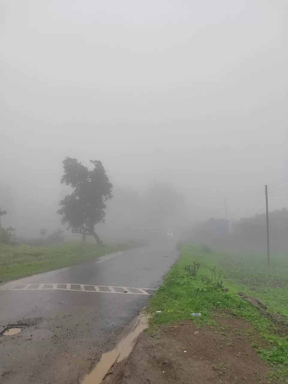 Photo of Day trip to Toranmal by rohan kale