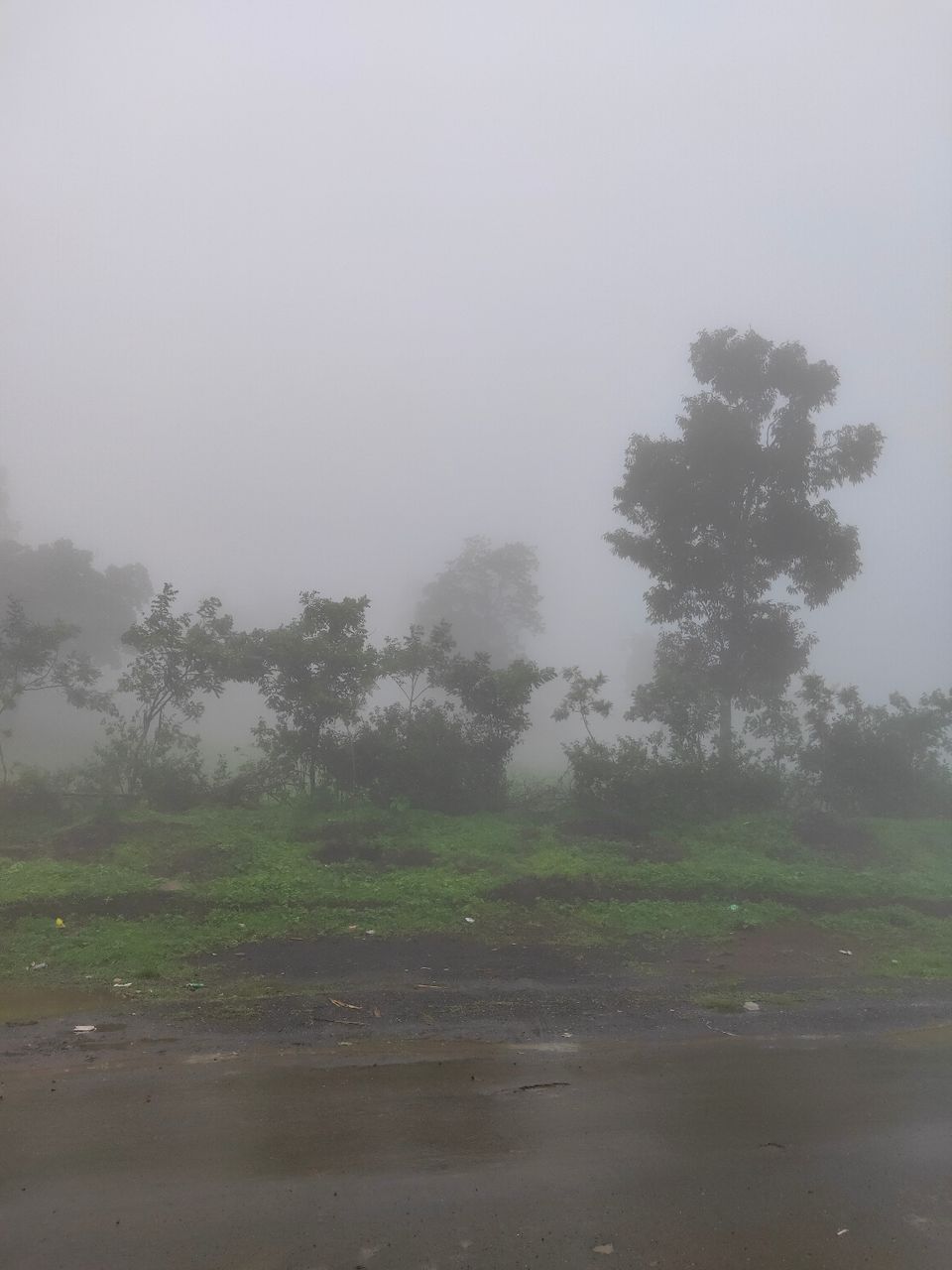 Photo of Day trip to Toranmal by rohan kale
