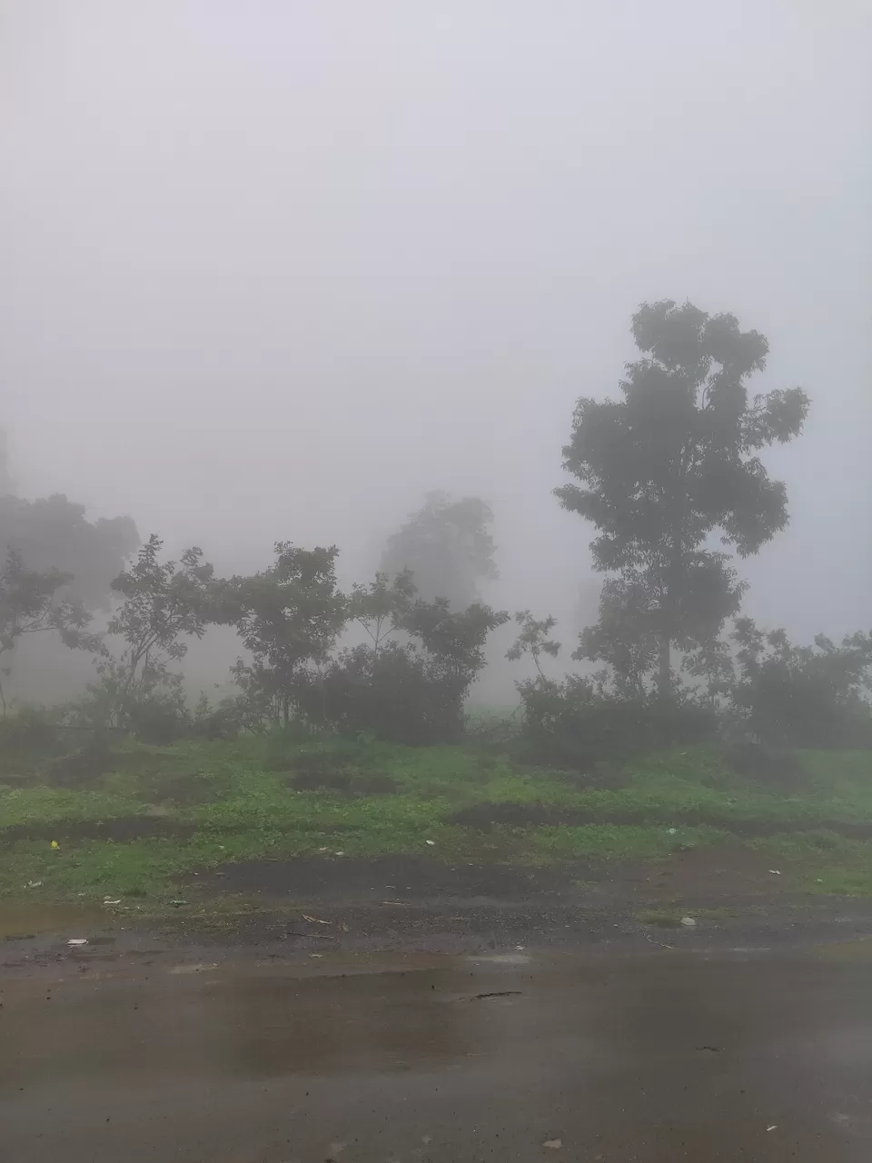 Photo of Day trip to Toranmal by rohan kale