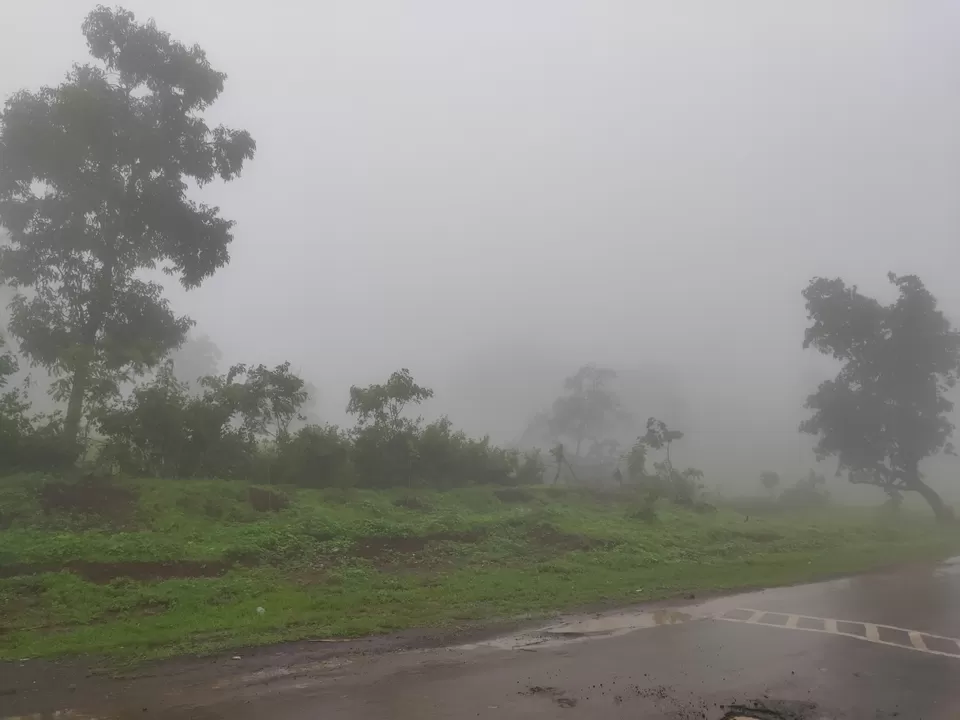 Photo of Day trip to Toranmal by rohan kale