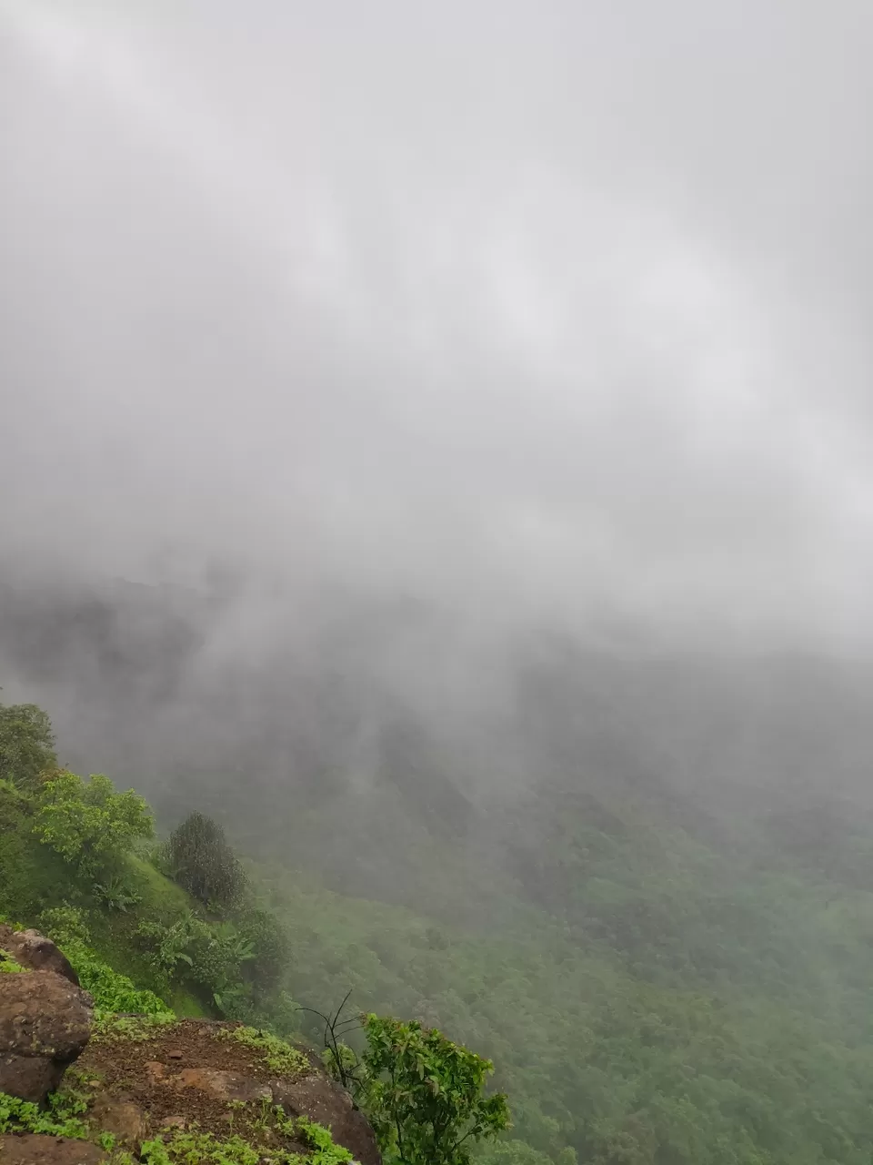 Photo of Day trip to Toranmal by rohan kale
