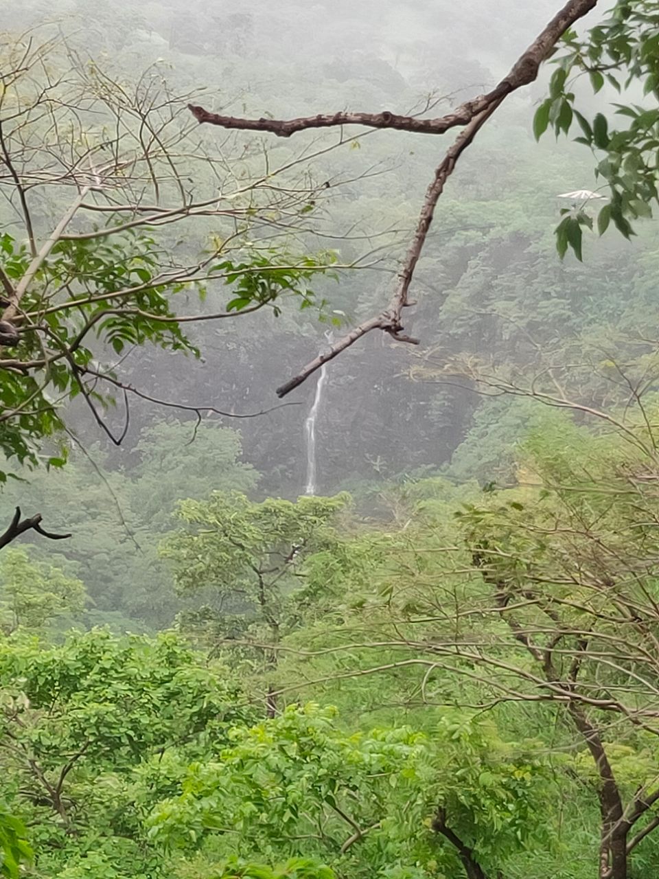 Photo of Day trip to Toranmal by rohan kale