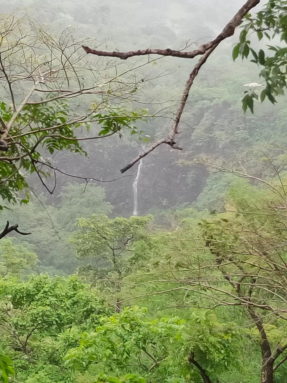 Photo of Day trip to Toranmal by rohan kale
