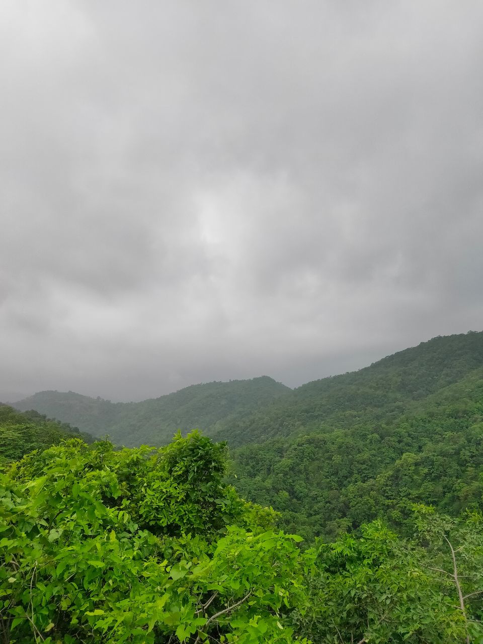 Photo of Day trip to Toranmal by rohan kale