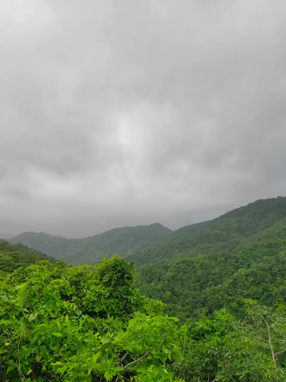 Photo of Day trip to Toranmal by rohan kale