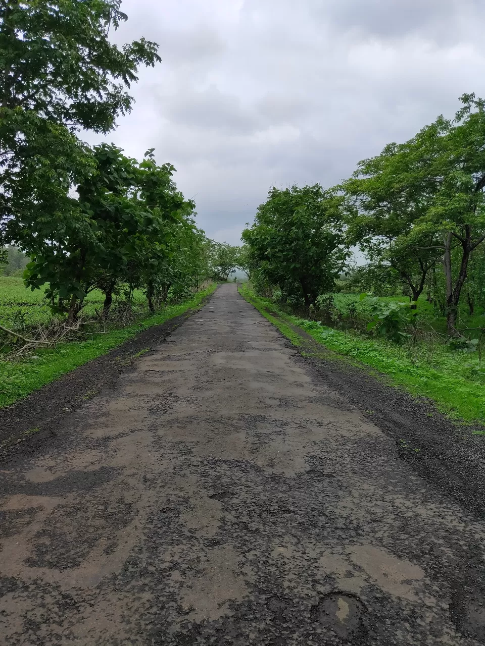 Photo of Day trip to Toranmal by rohan kale
