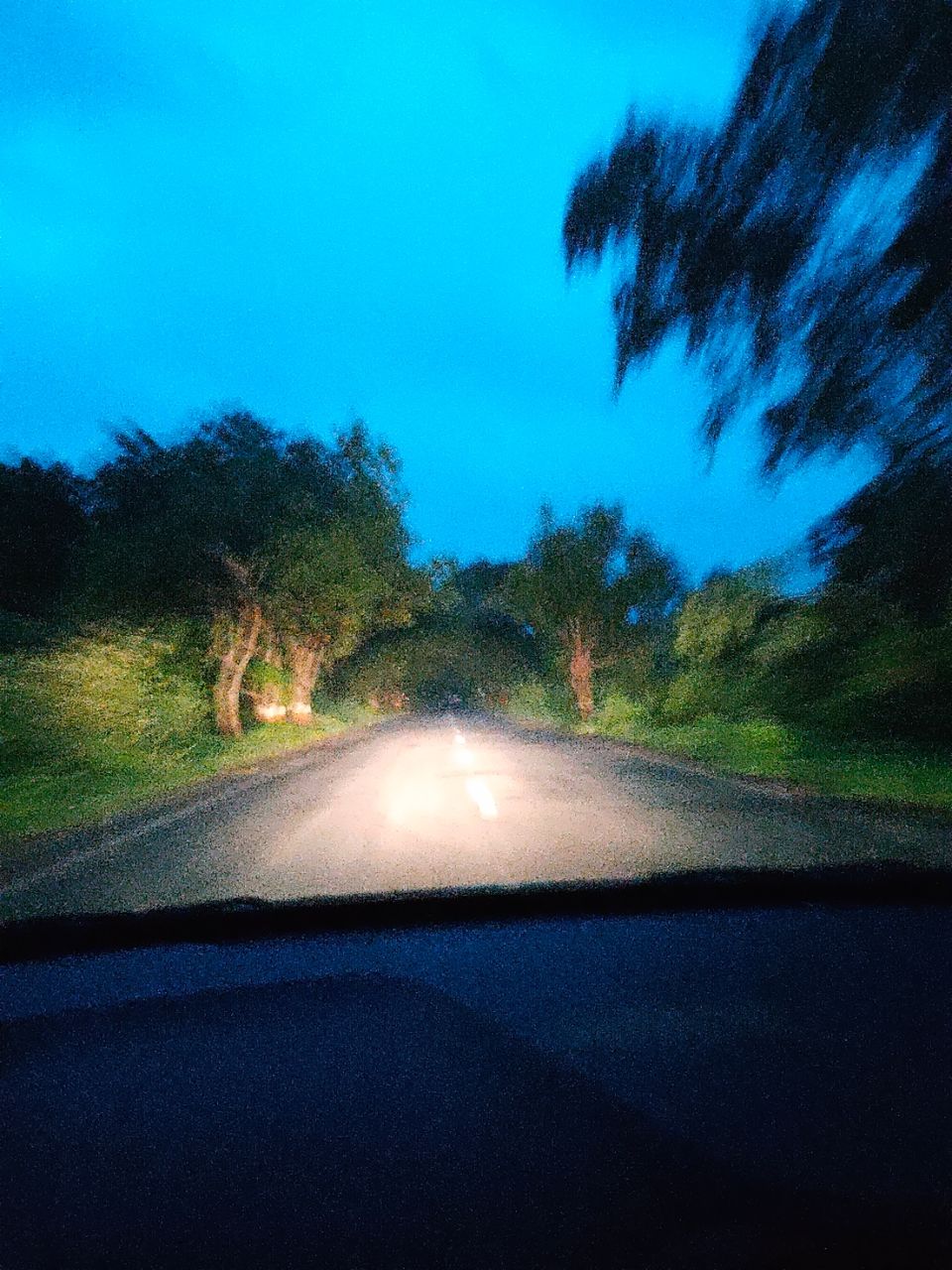 Photo of Day trip to Toranmal by rohan kale