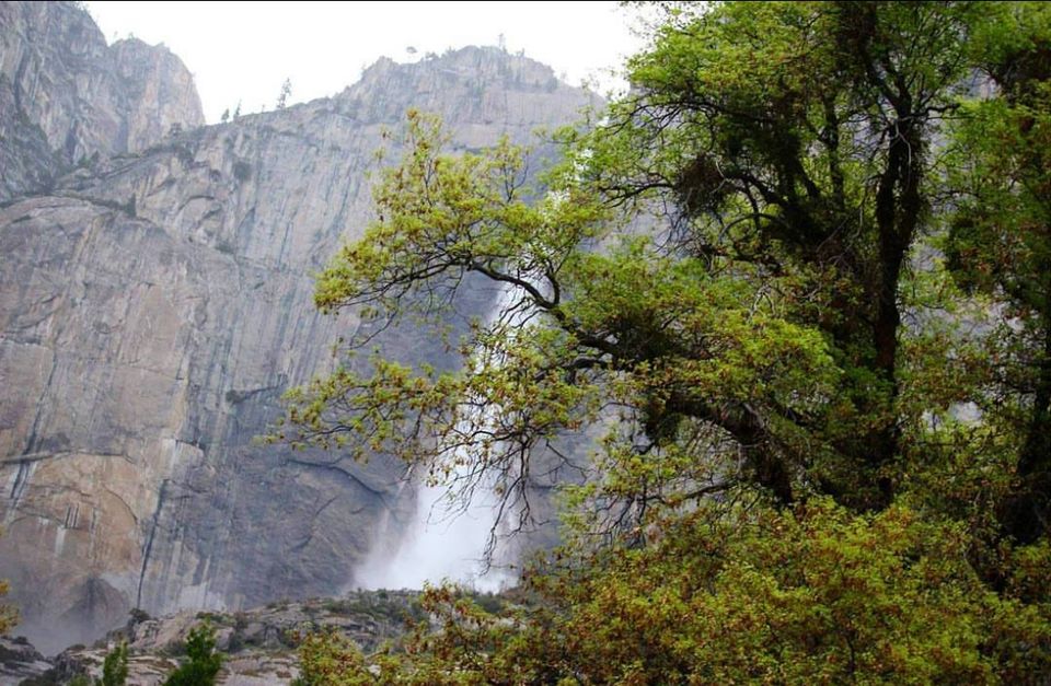 Photo of Yosemite Wonderland by Alyssa Marie Jones