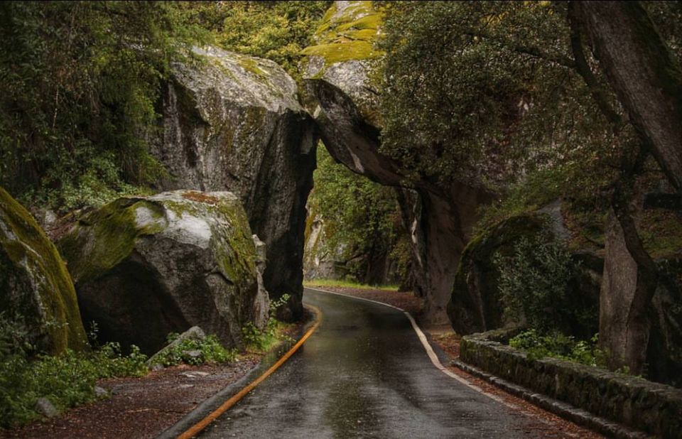 Photo of Yosemite Wonderland by Alyssa Marie Jones
