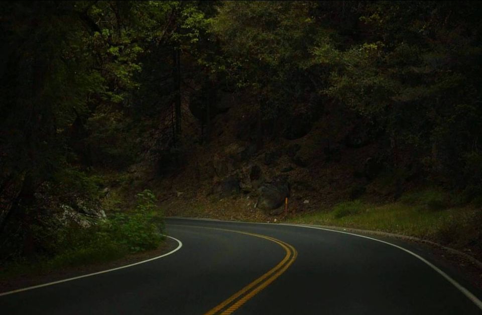 Photo of Yosemite Wonderland by Alyssa Marie Jones
